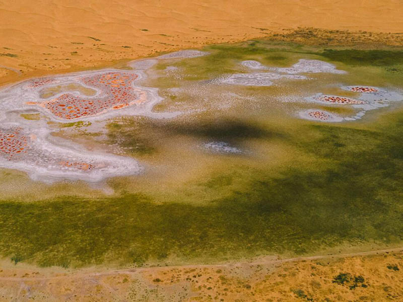 總磷水樣加試劑后顯黃色如何處理