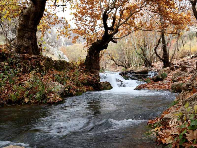 余氯在線分析儀的原理及應用