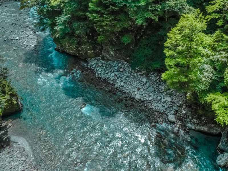 水中氨氮和總氮哪個高