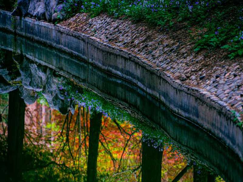 綿陽市長江流域總磷污染控制限值g