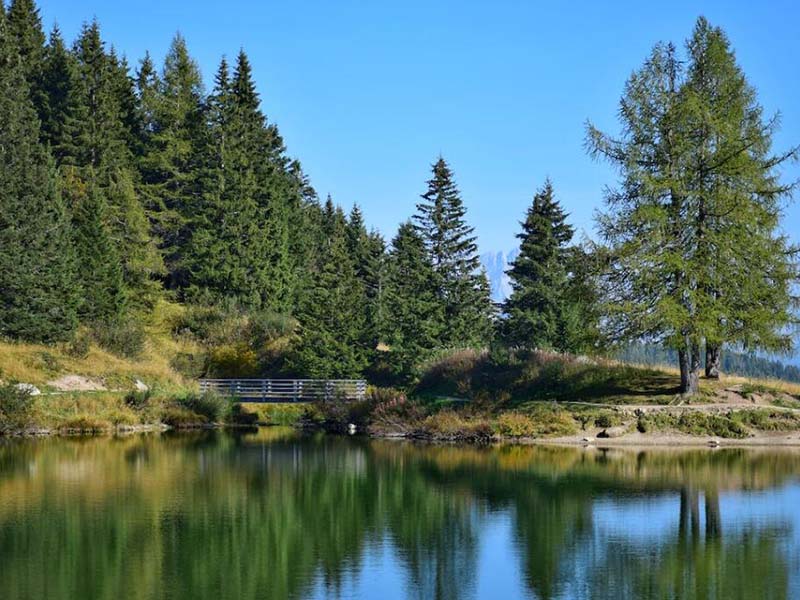 總磷快速檢測儀怎么使用