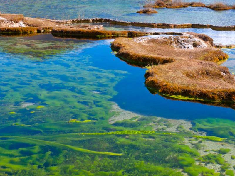 氨氮檢測結果是以氮元素計嗎