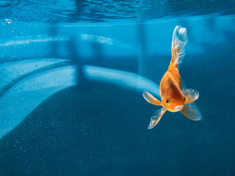 熒光法溶解氧檢測儀操作注意事項