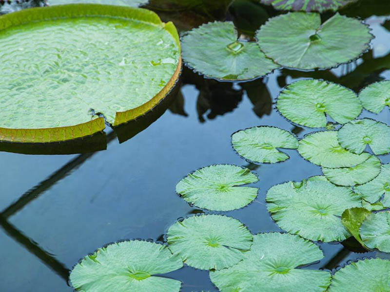 水體透明度測定注意事項