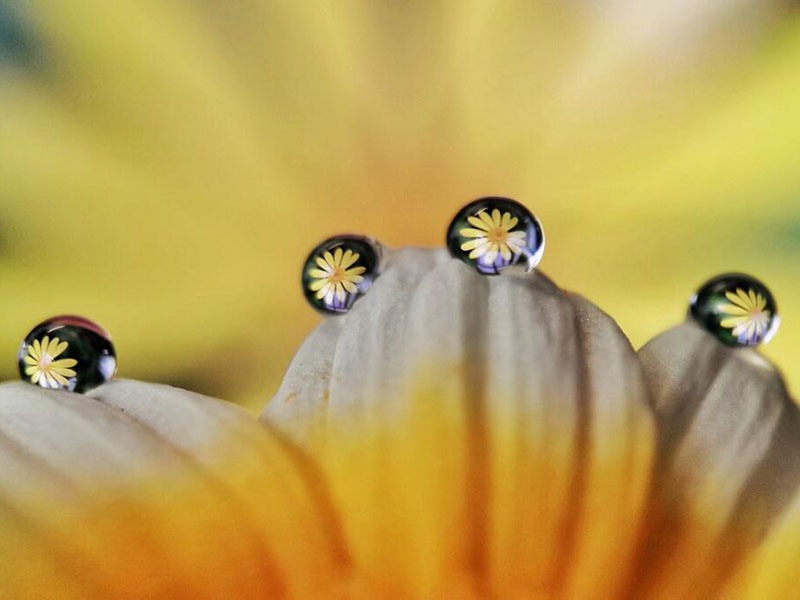 水質檢測試劑使用常見問題匯總