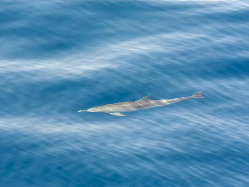 如何延長余氯檢測儀的使用壽命