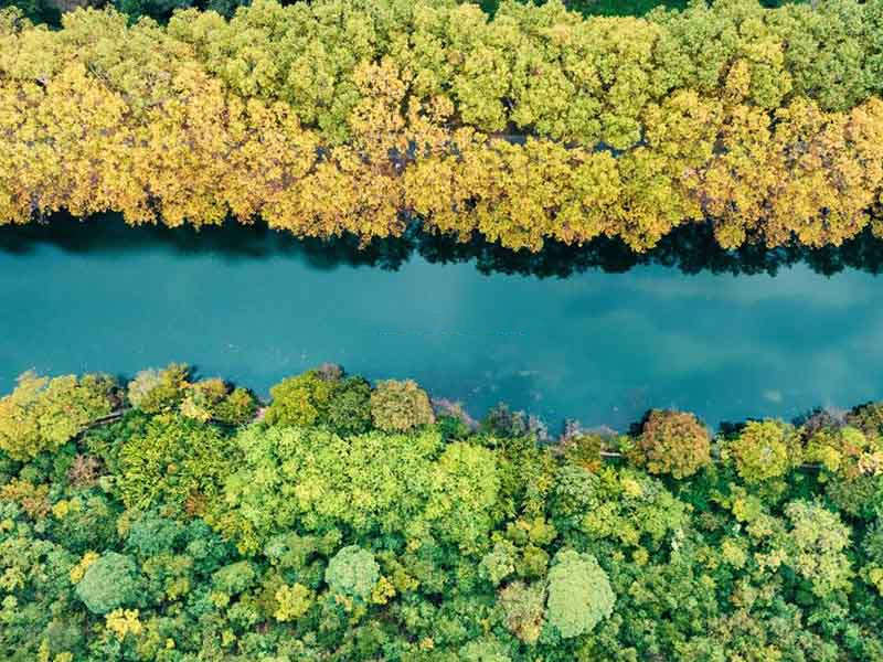 CODMn和CODcr的區別