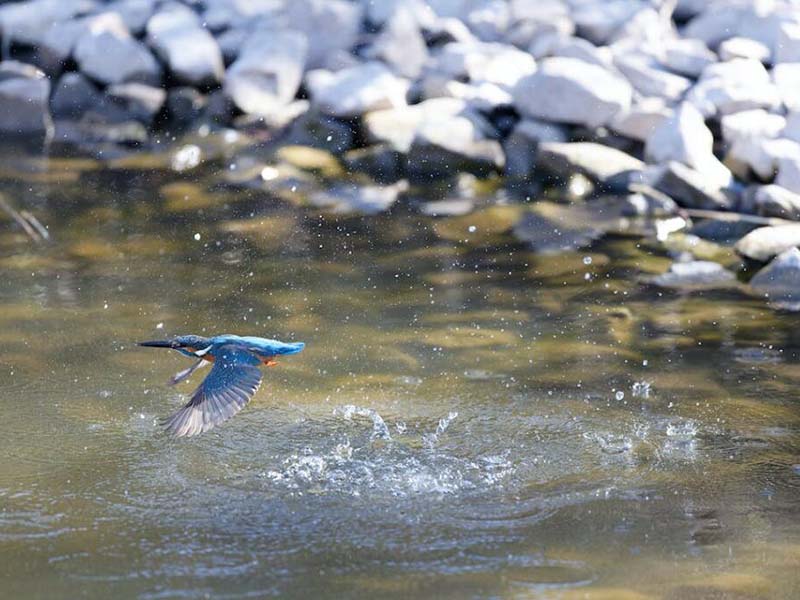 水質pH值的常用測量方法