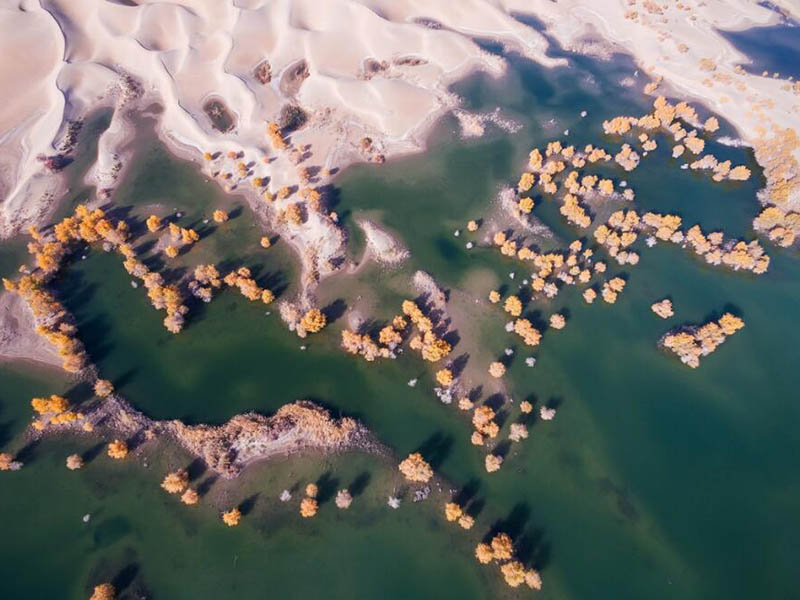 污水處理廠出水口氨氮大于總氮的原因