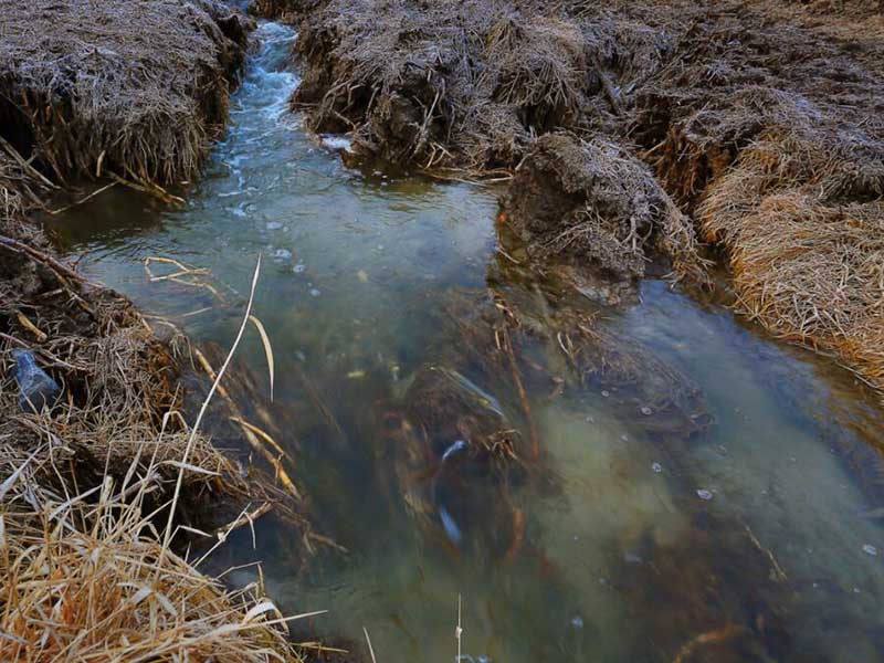 總氮排放標準與超標原因