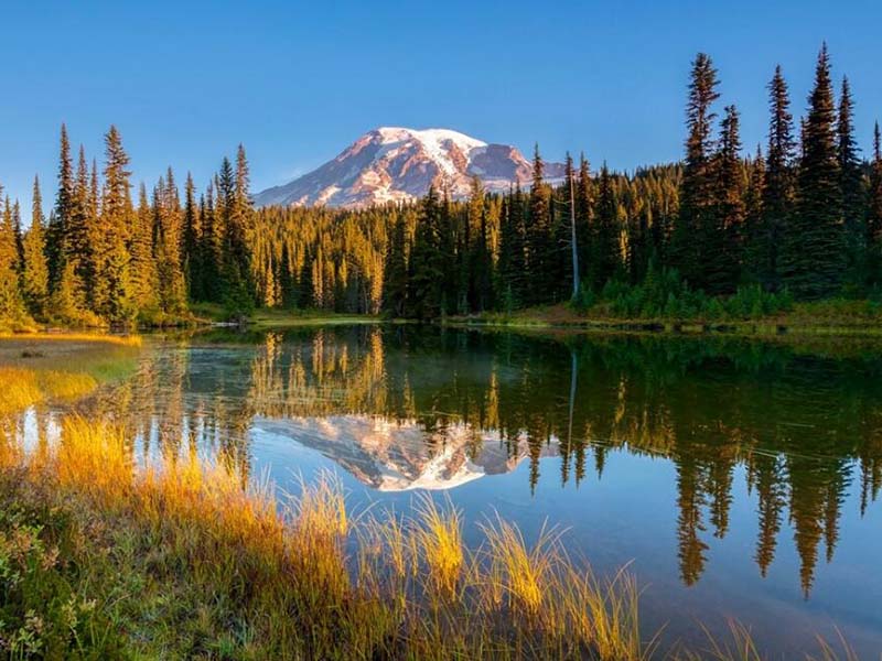 水質檢測中的TOC代表什么