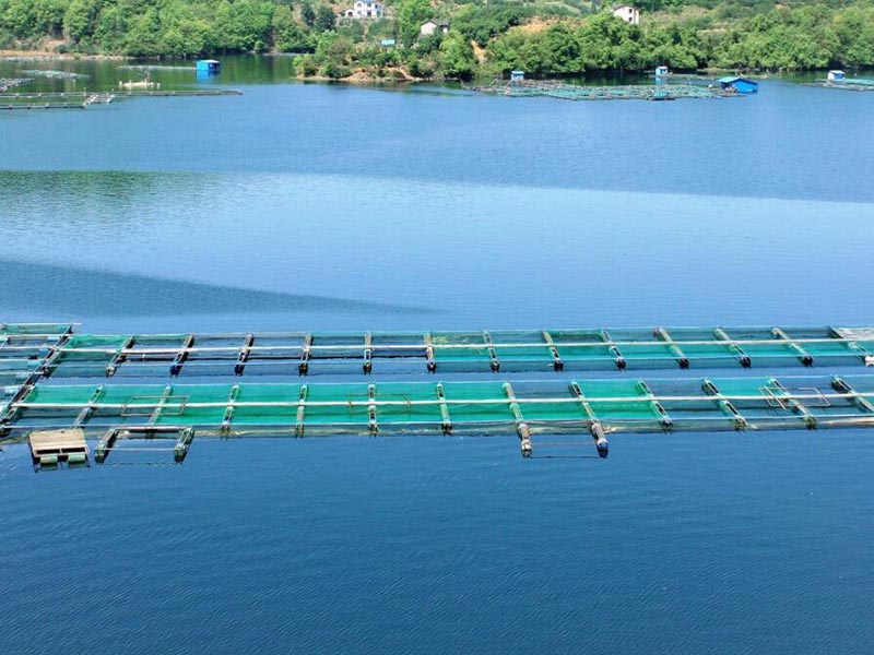 水產養殖水質檢測標準值