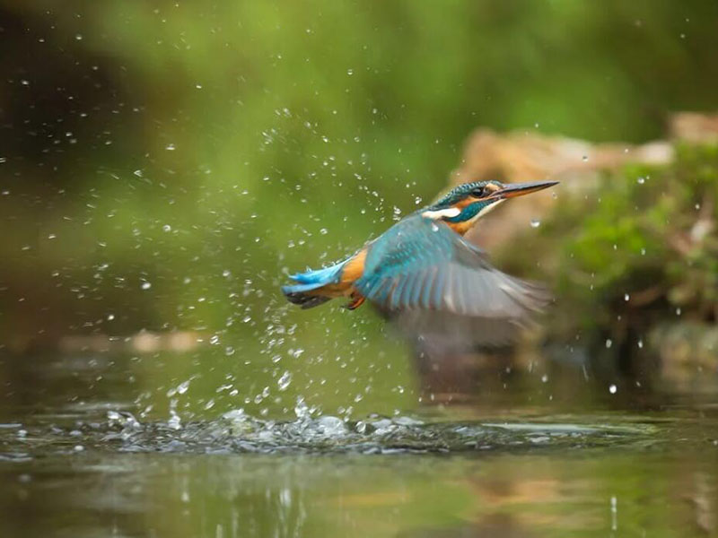 污水COD檢測時需要注意哪些問題