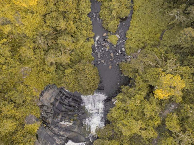 入海河流總氮管控“四步法”