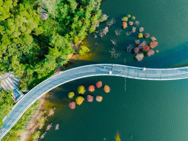 便攜式COD快速測定儀維護與保養