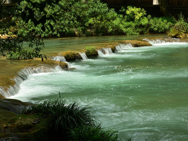 污水氨氮超標的原因