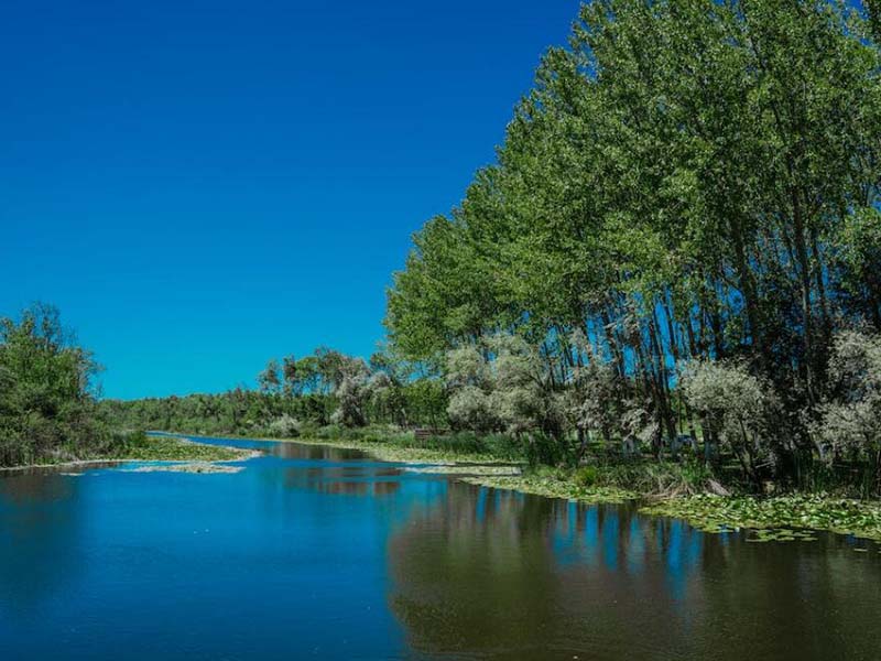 水質重金屬檢測儀的優勢