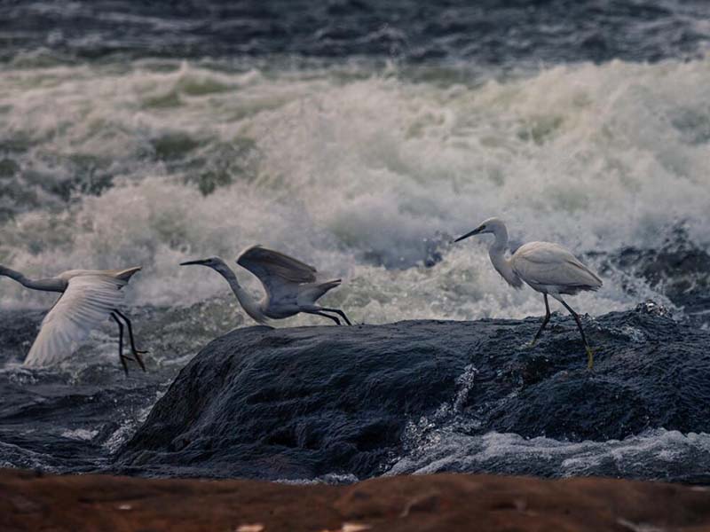 污水處理BOD5標準值