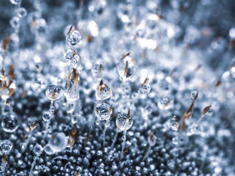 【儀器操作】如何提升總有機碳TOC分析儀的準確度