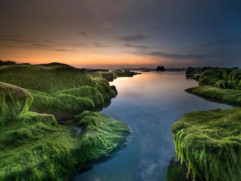 比色法測定水中揮發酚的流程