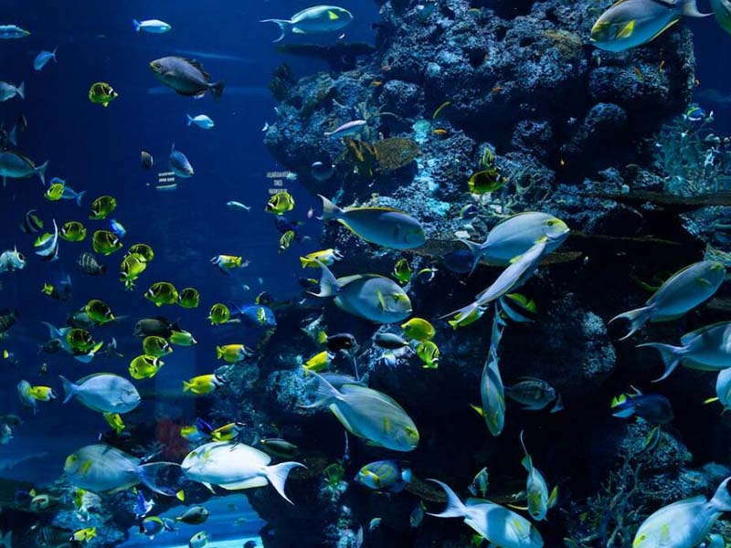 如何正確使用手持式水質重金屬檢測儀