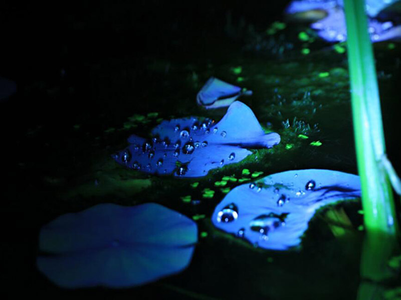 水中油分濃度分析儀常見故障分析