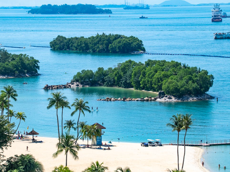 水體葉綠素a檢測規范