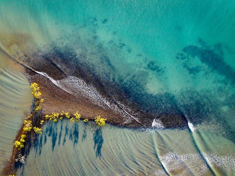 總氮測定儀的作用