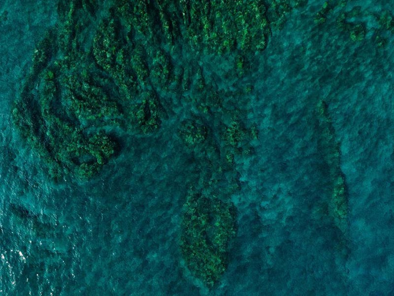 總磷檢測樣品采集與保存