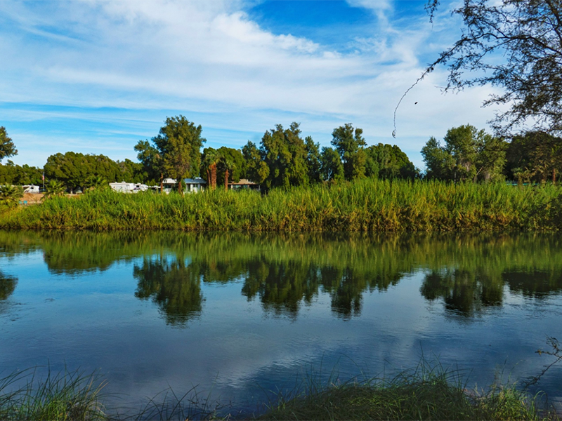 高錳酸鹽指數和COD有什么關系