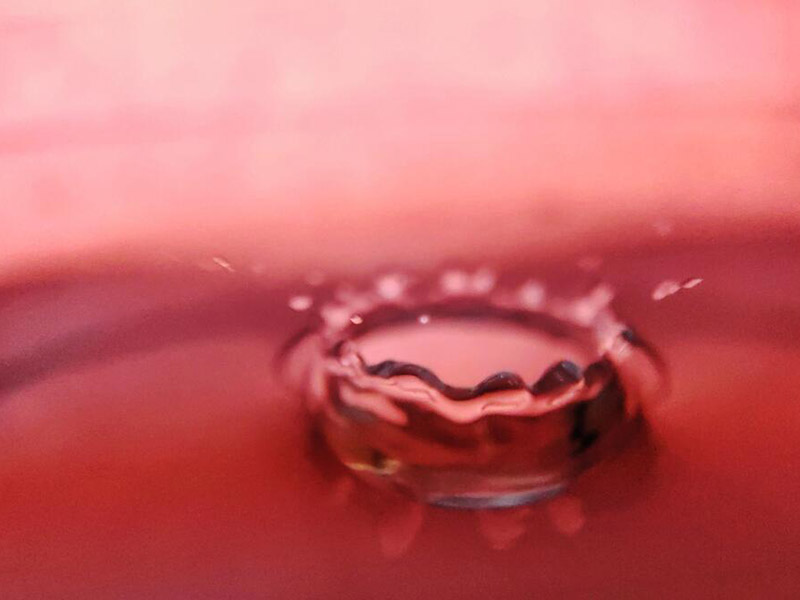 【匯總】水質大腸菌群、糞大腸菌群和大腸埃希氏菌檢測意義