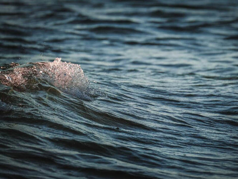 水體溶解氧常用檢測方法