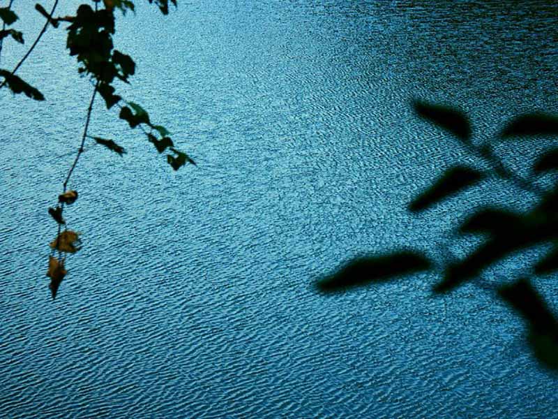 氨氮在線監測儀數據偏低怎么辦