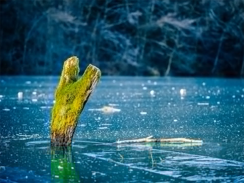 水體濁度過高的影響