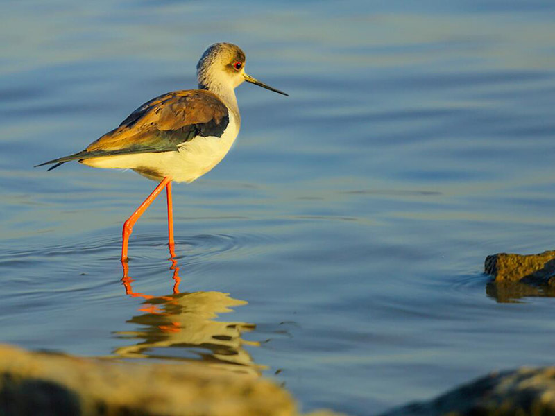 水質鹽度是什么