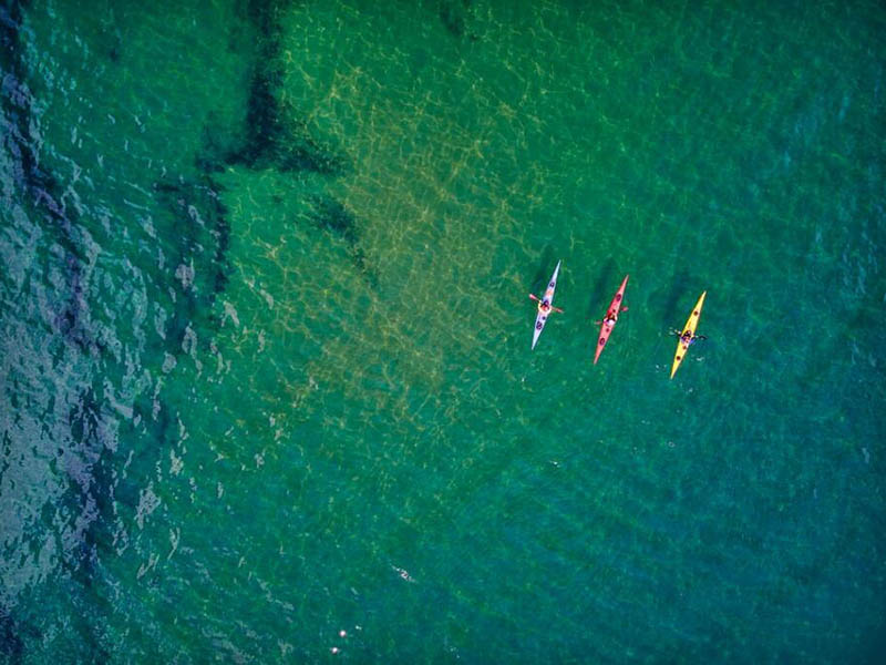 藍綠藻爆發對飲用水原水的危害
