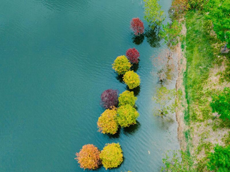 氨氮檢測常見干擾有哪些